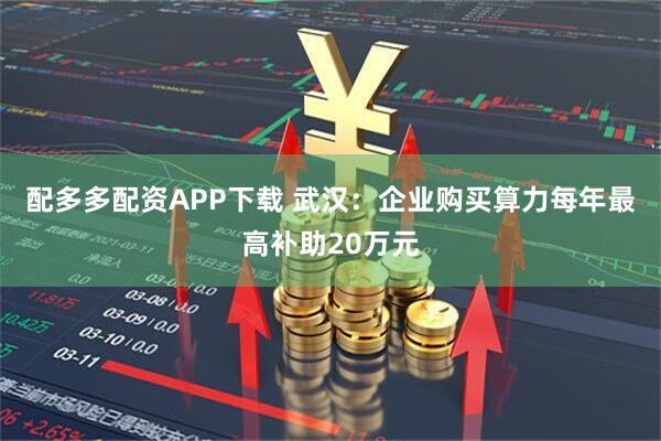 配多多配资APP下载 武汉：企业购买算力每年最高补助20万元