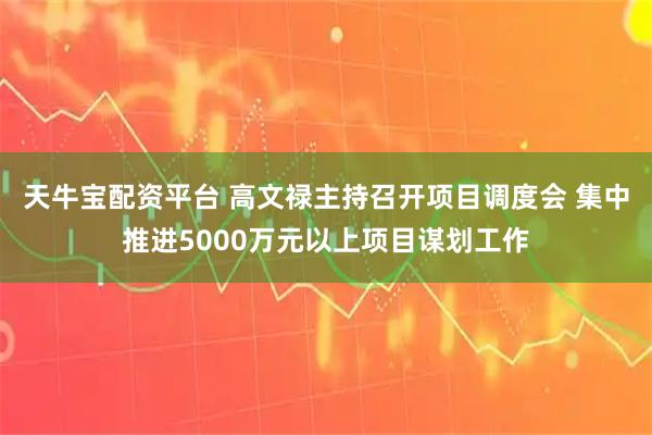 天牛宝配资平台 高文禄主持召开项目调度会 集中推进5000万元以上项目谋划工作