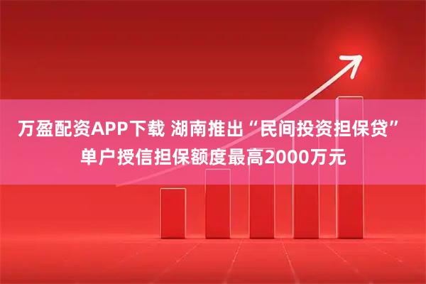 万盈配资APP下载 湖南推出“民间投资担保贷” 单户授信担保额度最高2000万元