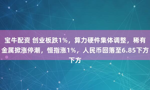 宝牛配资 创业板跌1%，算力硬件集体调整，稀有金属掀涨停潮，恒指涨1%，人民币回落至6.85下方