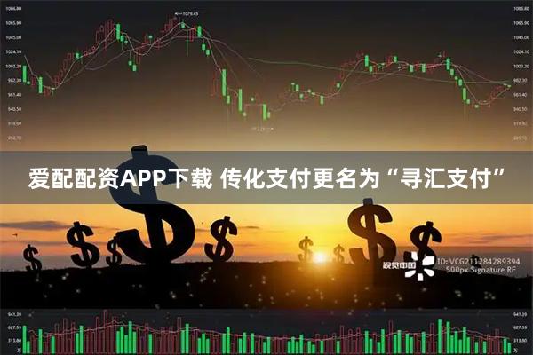 爱配配资APP下载 传化支付更名为“寻汇支付”