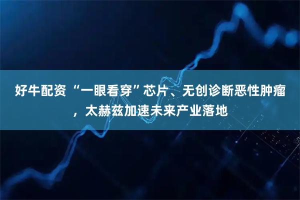 好牛配资 “一眼看穿”芯片、无创诊断恶性肿瘤，太赫兹加速未来产业落地